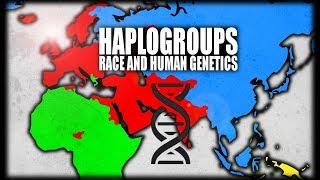 What are Haplogroups Human Genetics Explained [upl. by Eilrahc]