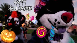 Trick or Treating in Fursuit [upl. by Koffman]