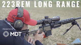 223Rem Effective At Long Range [upl. by Cinnamon]