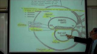 INTRO TO HUMAN EMBRYOLOGY PART 1 by Professor Fink [upl. by Jacquelyn]