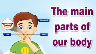 The Main Parts of our Body  Educational Videos For Kids [upl. by Mloclam356]