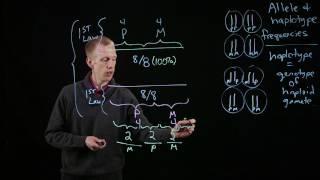 Allele and Haplotype Frequencies [upl. by Atnes738]