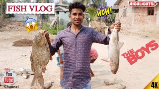 Fish Vlog On My Village  Buniadpur city  IPRO 20 [upl. by Kulsrud]