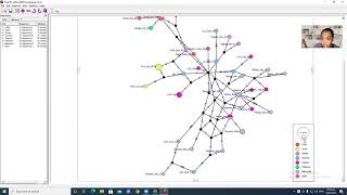 Haplotype Network using POPART Tagalog [upl. by Kellby]