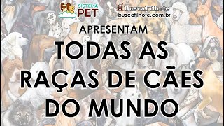 Todas as Raças de Cães do Mundo [upl. by Thedric]