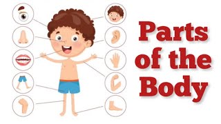 Body Parts  Parts of the Body Body Parts for Kids Body Parts Vocabulary Our Body GRADE 1 EVS [upl. by Ailssa304]