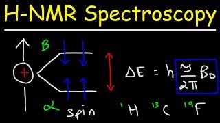 Basic Introduction to NMR Spectroscopy [upl. by Enilraep]