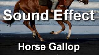 Horse Gallop Sound Effect YouTube [upl. by Aiyn967]