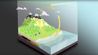 The carbon cycle [upl. by Anawot]