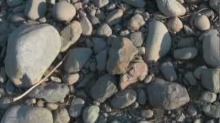 walking the tulameen river ROCKHOUNDING ep 12 [upl. by Early235]