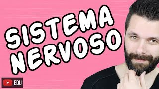 SISTEMA NERVOSO  FISIOLOGIA  Aula  Biologia com Samuel Cunha [upl. by Wun]