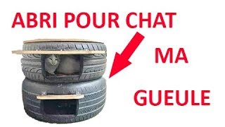 COMMENT FAIRE UN ABRI POUR CHAT [upl. by Drawyeh]