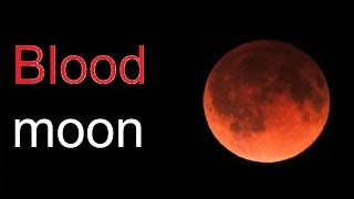 Heres why the blood moon is so special [upl. by Cirenoj389]