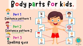 Body Parts For Kids Learning  Parts Of The Body  Spelling Quiz  ESL Kids  4K [upl. by Durand708]