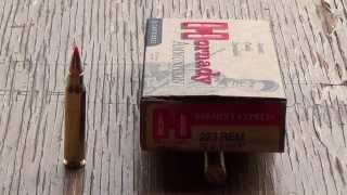 223 Remington Hornady 55gr VMAX Review [upl. by Nevetse287]