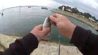 Rockfishing sur le bassin darcachon [upl. by Brenna203]