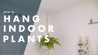 How To Hang Indoor Plants From the Ceiling  Bunnings Warehouse [upl. by Dannon]