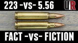 223 vs 556 FACTS and MYTHS [upl. by Leodora]