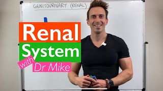 Renal System  Overview [upl. by Iamhaj843]