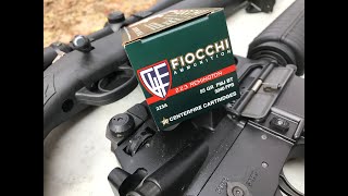 223 Remington 55gr FMJ Fiocchi 223A Review [upl. by Gram680]