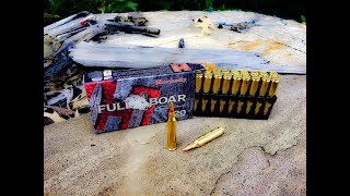 Hornady 223 50 Grain  Full Boar [upl. by Ajssatsan817]