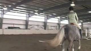 How to Gallop a Horse [upl. by Lamberto]