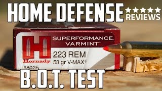 Hornady 223 53gr VMAX Ammunition for Personal Defense [upl. by Gilmore535]