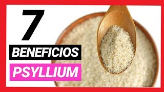 7 BENEFICIOS DE LA FIBRA PSYLLIUM  PLANTAGO OVATA [upl. by English]