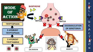 Buspirone 5HT1A agonist MOA Advantages over Benzodiazepines [upl. by Nnauol]