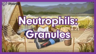 Neutrophil Granules Mnemonic for USMLE [upl. by Cotsen399]