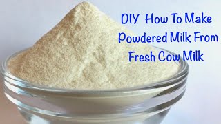 How To Make Milk Powder From Fresh Cow Milk [upl. by Sucramal]