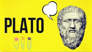 Biography of PLATO  HINDI [upl. by Ivana317]